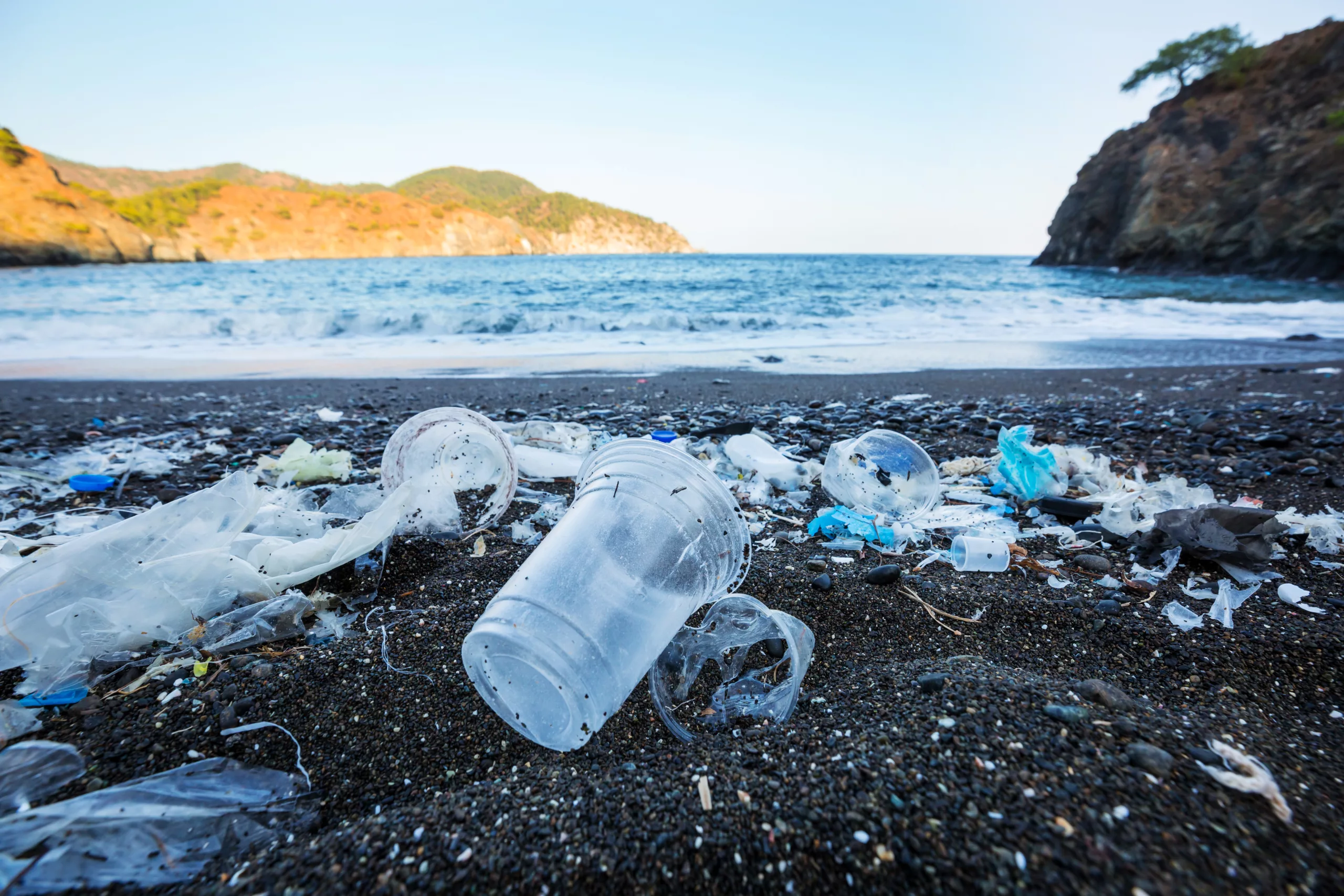 Beach pollution